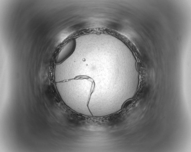 X0000087050871200705021154