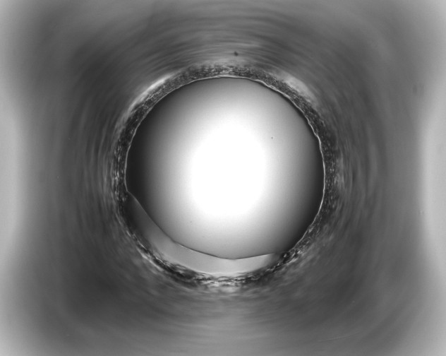 X0000087050872200705021154