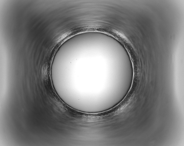 X0000087050873200705021154