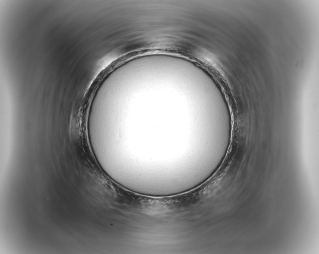 X0000087050875200705021154