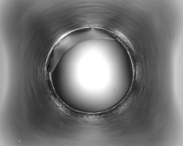 X0000087050876200705021154