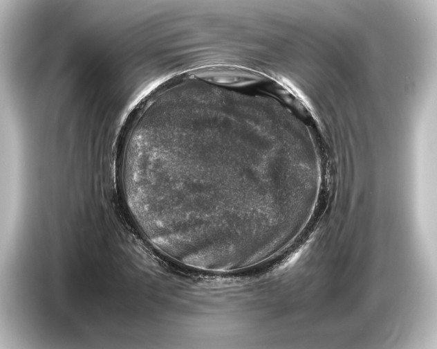 X0000087050877200705021154