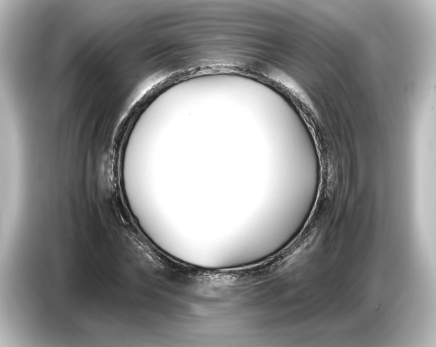 X0000087050878200705021154