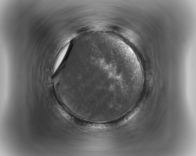 X0000087050881200705021154