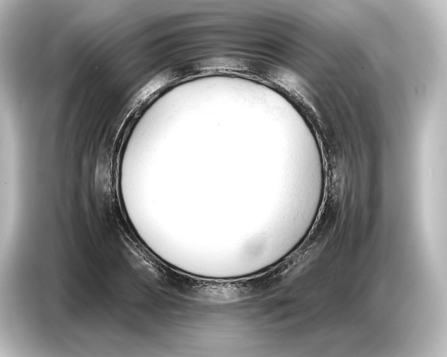 X0000087050882200705021154