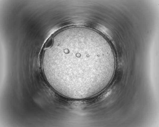 X0000087050883200705021154