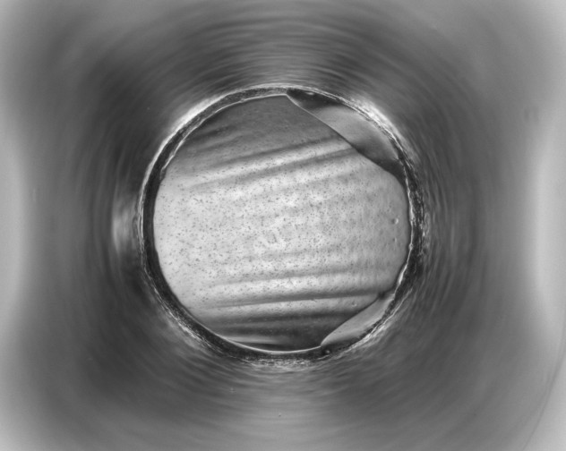 X0000087050884200705021154