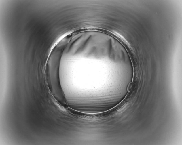 X0000087050885200705021154