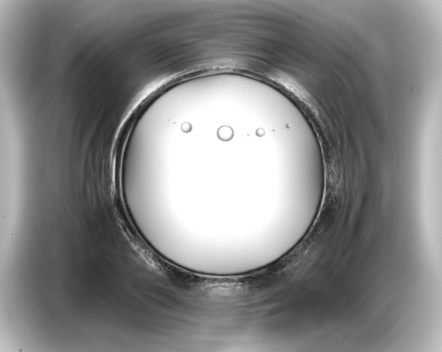 X0000087050886200705021154