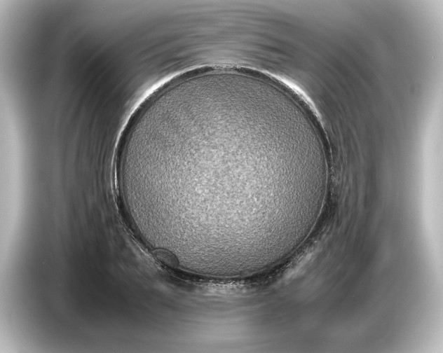 X0000087050887200705021154