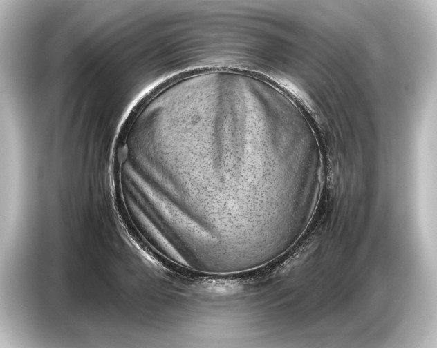 X0000087050888200705021154