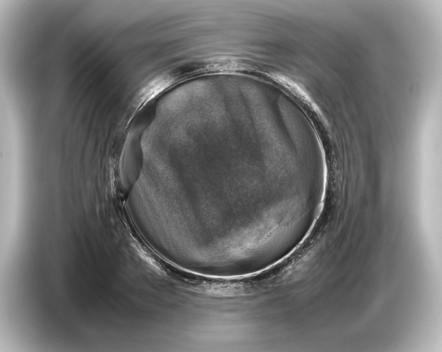 X0000087050889200705021154