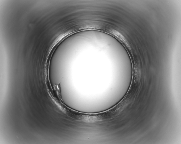 X0000087050890200705021154