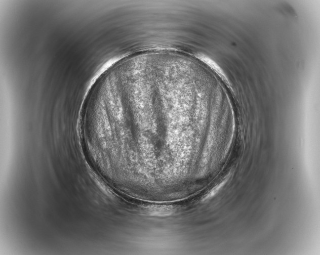 X0000087050893200705021154