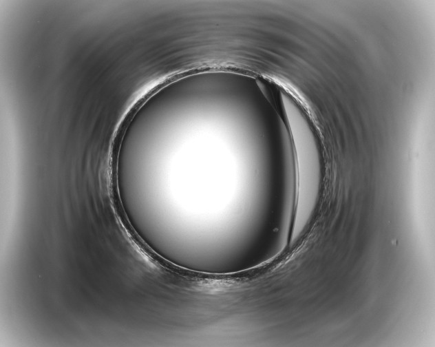 X0000087050894200705021154