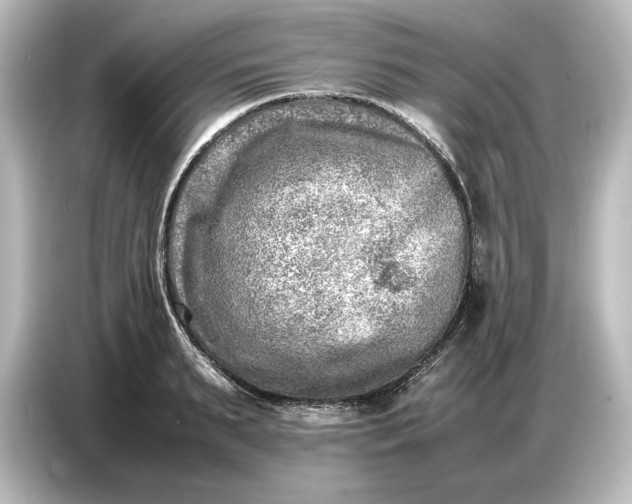 X0000087050895200705021154