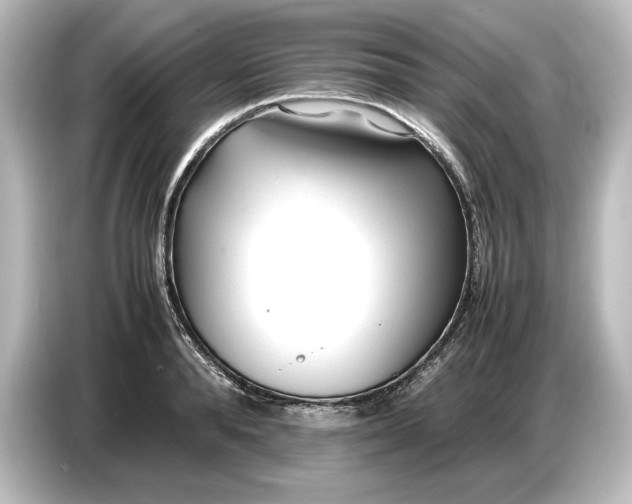 X0000087050896200705021154