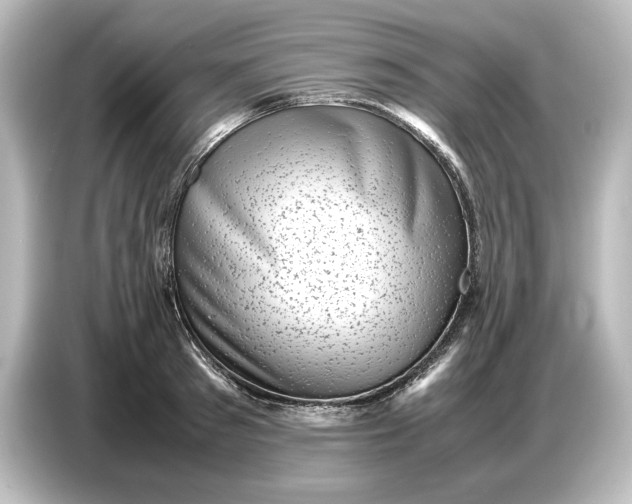 X0000087050897200705021154