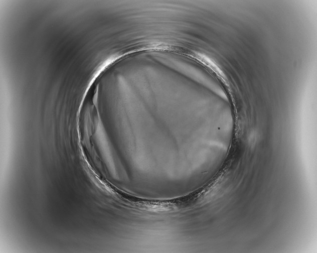 X0000087050899200705021154