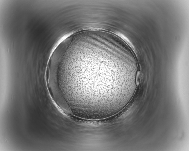 X0000087050901200705021154