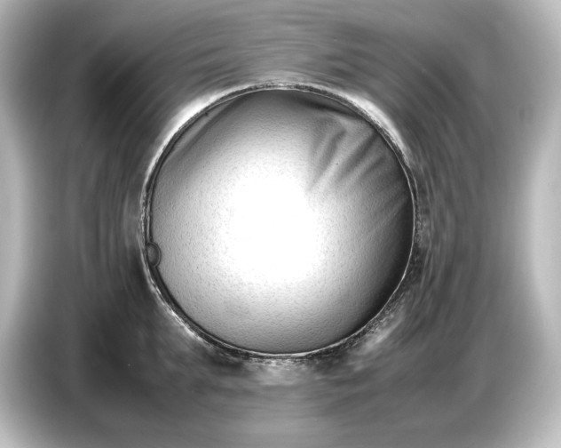 X0000087050903200705021154