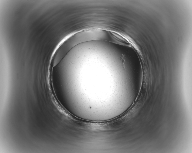 X0000087050904200705021154