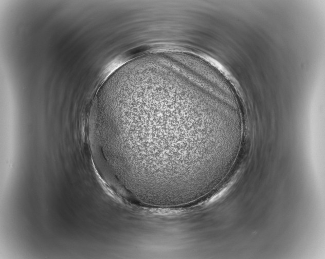 X0000087050905200705021154