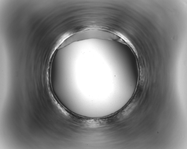 X0000087050906200705021154