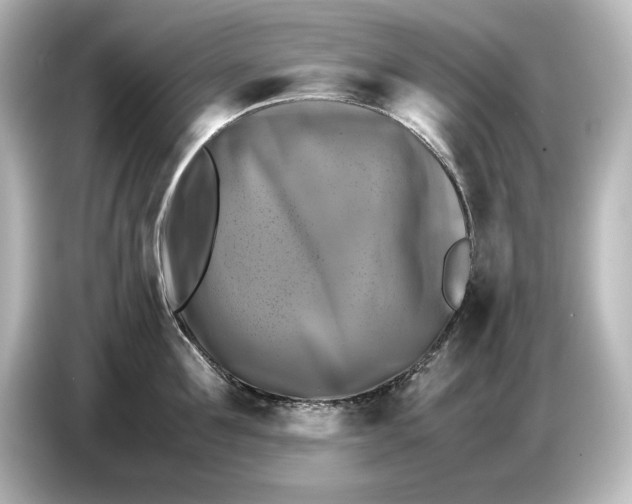 X0000087050907200705021154