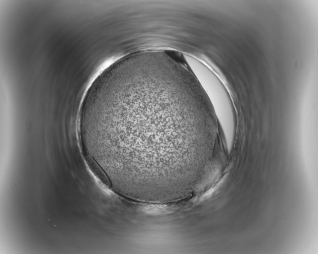 X0000087050909200705021154