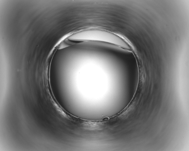 X0000087050910200705021154