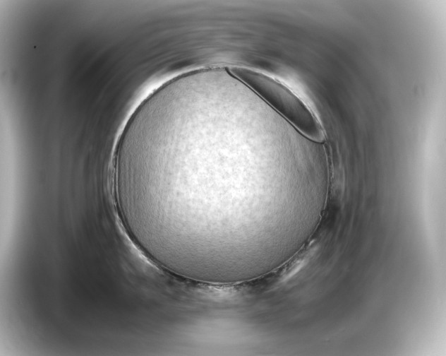 X0000087050911200705021154