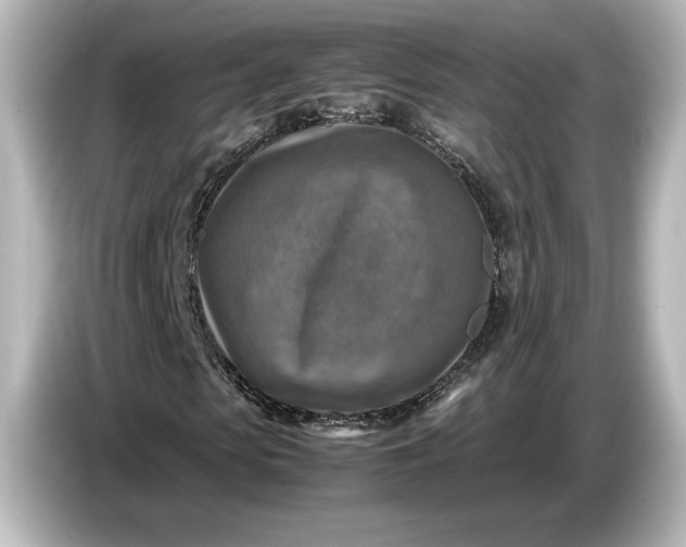 X0000087050913200705021153