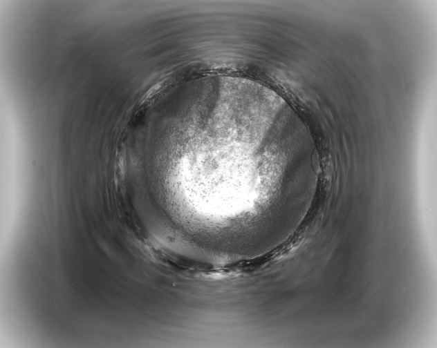 X0000087050916200705021153