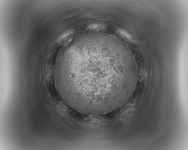 X0000087050917200705021153