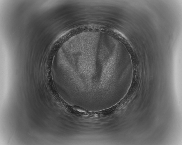 X0000087050919200705021153