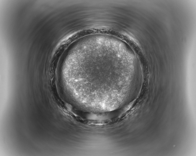 X0000087050920200705021153