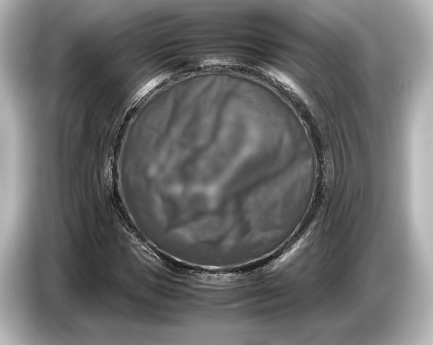 X0000087050921200705021153