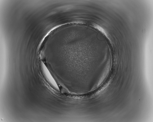 X0000087050923200705021153