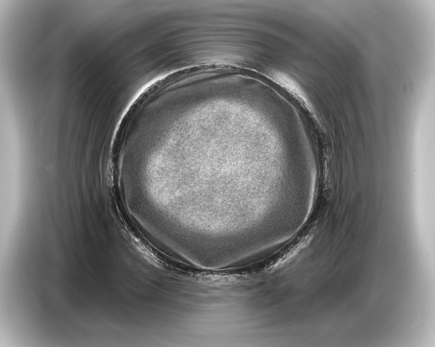 X0000087050924200705021153