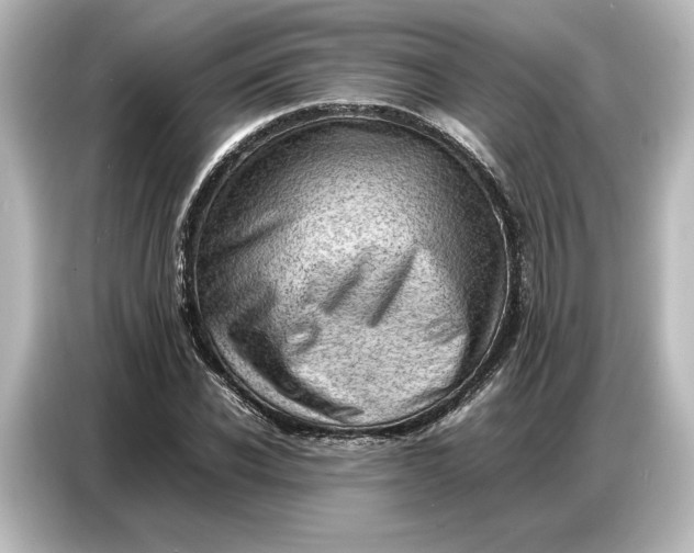 X0000087050926200705021153