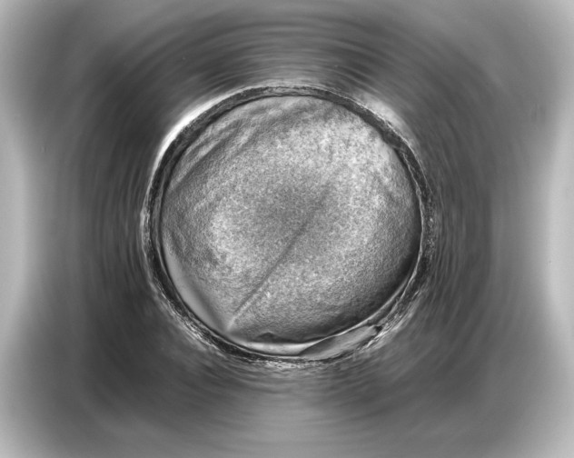 X0000087050928200705021153