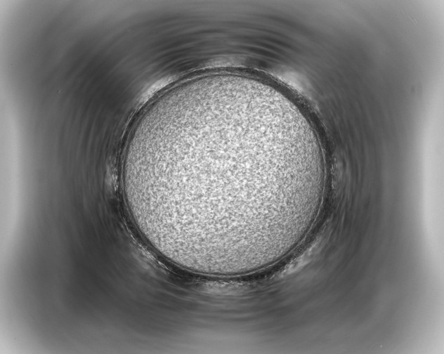 X0000087050929200705021153