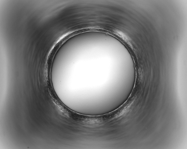 X0000087050931200705021153