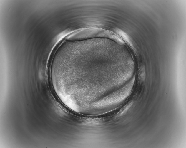 X0000087050932200705021153