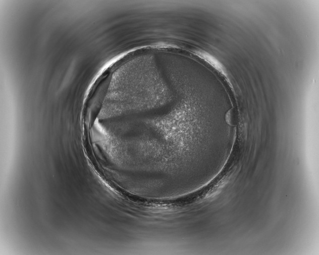 X0000087050935200705021153