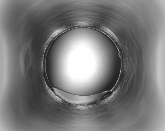 X0000087050938200705021154