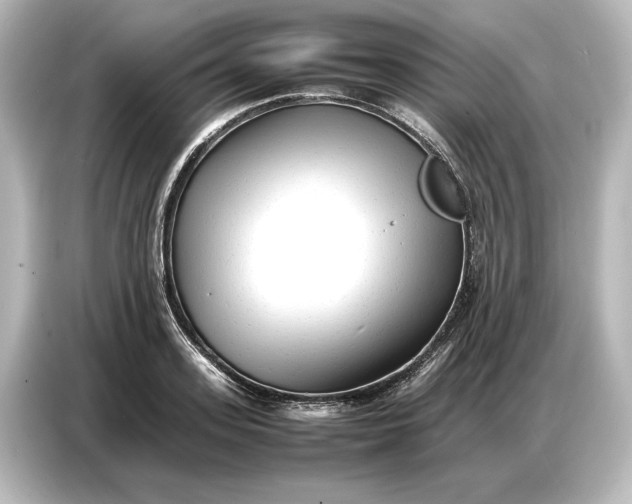 X0000087050939200705021154