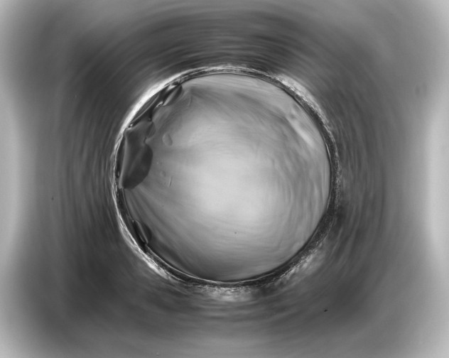 X0000087050941200705021154