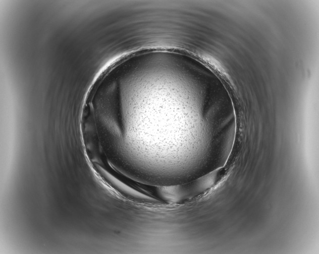 X0000087050942200705021154